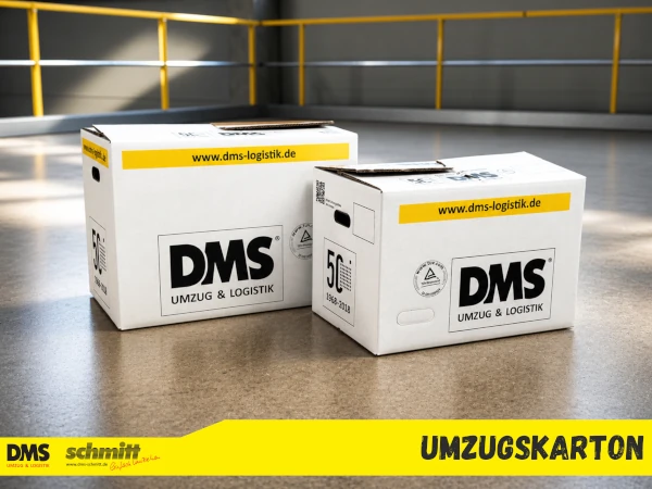 Umzugskarton